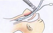 گاواژ